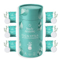 Eucalyptus Shower Steamers - Caja de Regalo de 6