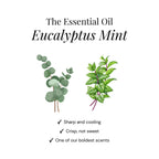 Eucalyptus Shower Steamers - Paquete de 15