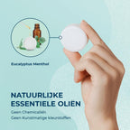 Eucalyptus Shower Steamers - Caja de Regalo de 6